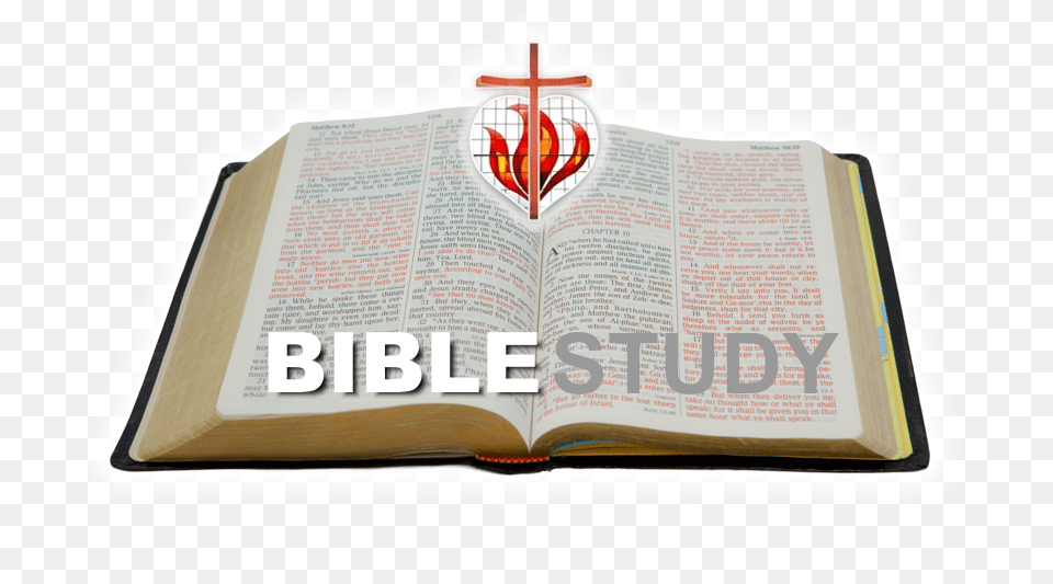 Attend A Bible Study Life In Christ Lutheran Church Peoria, Book, Page, Person, Publication Free Png