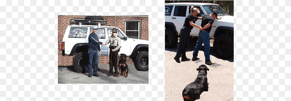Attention Police K 9 Division Supervisors Andor Officers Police Dog, Mammal, Animal, Canine, Police Dog Png Image