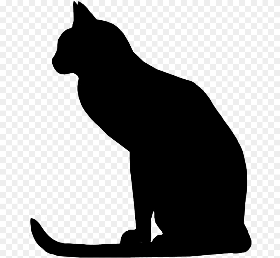 Attentive Cat Silhouette Cat With Long Tail Silhouette Raccoon, Animal, Mammal, Pet, Egyptian Cat Png