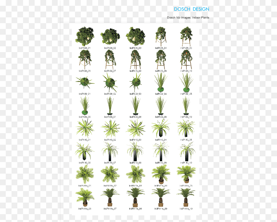 Attractive Quantity Discounts Up To 20 Are Displayed Bee, Plant, Potted Plant, Tree, Vegetation Png