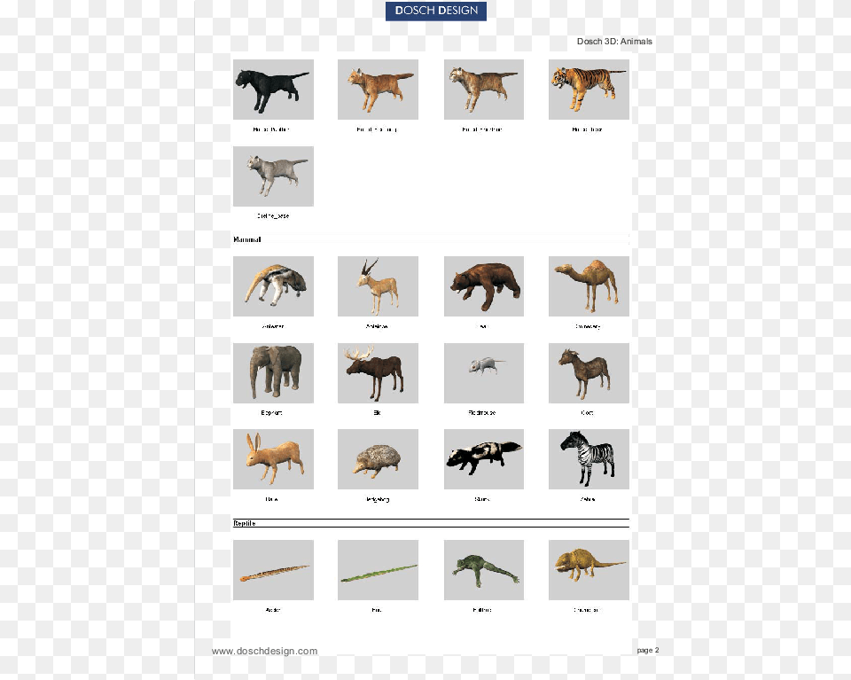 Attractive Quantity Discounts Up To 20 Are Displayed Dosch Design 3d Animals, Animal, Bear, Wildlife, Mammal Free Png