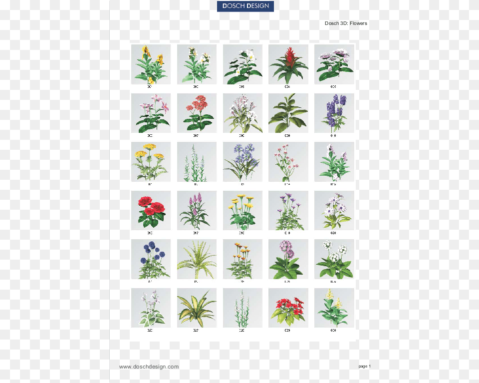 Attractive Quantity Discounts Up To 20 Are Displayed Insect, Flower, Herbal, Herbs, Plant Png