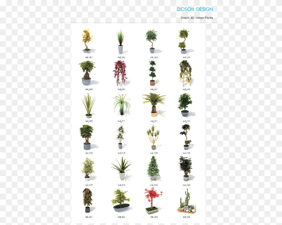 Attractive Quantity Discounts Up To 20 Are Displayed Types Of Indoor Plants, Plant, Potted Plant, Tree Png Image