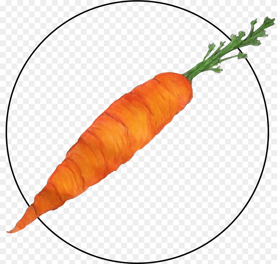 Attribute Motif Carrot, Food, Plant, Produce, Vegetable Png