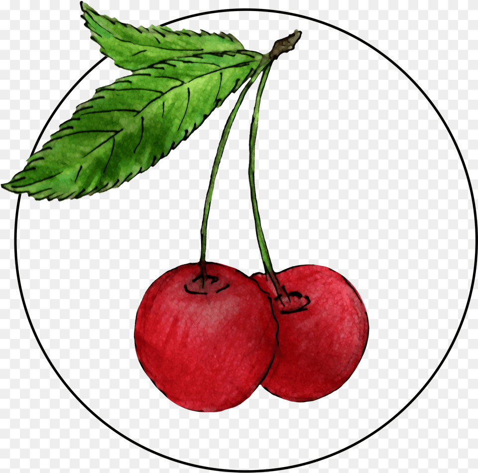 Attribute Motif Cherries Cherry, Food, Fruit, Plant, Produce Free Png Download