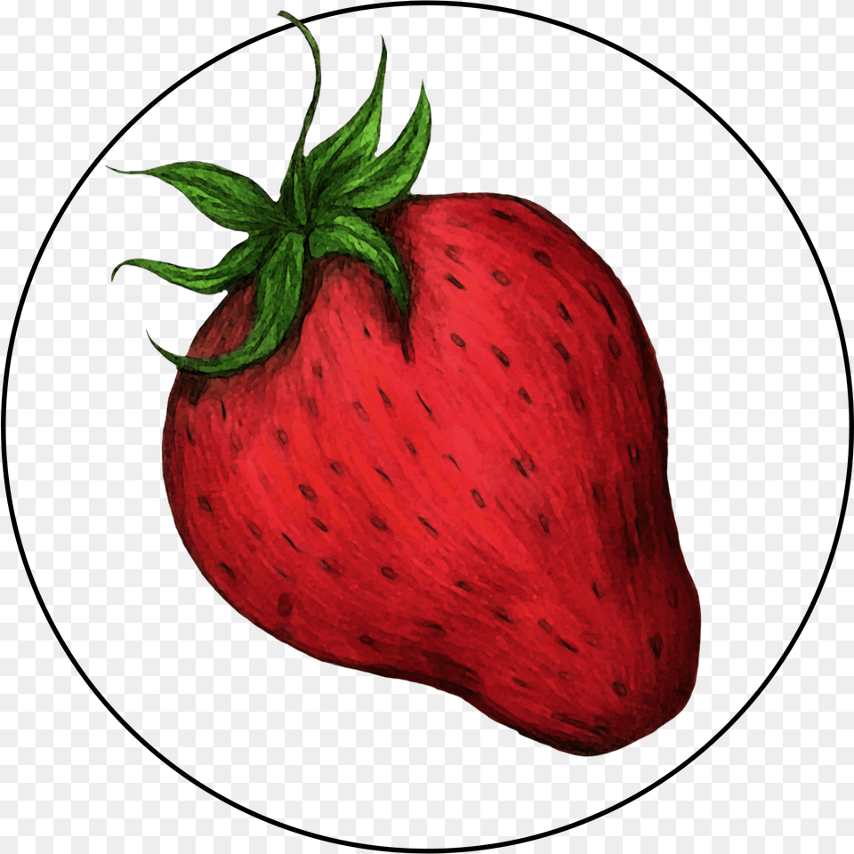 Attribute Motif Strawberry Strawberry, Berry, Food, Fruit, Plant Png