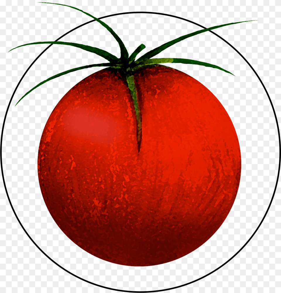 Attribute Motif Tomato Tomato, Food, Plant, Produce, Vegetable Png