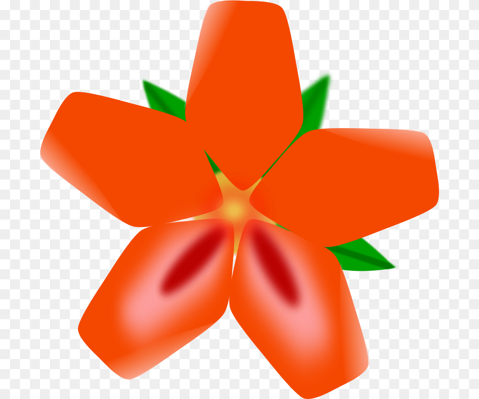 Atulasthana Red Flower, Petal, Plant Png Image