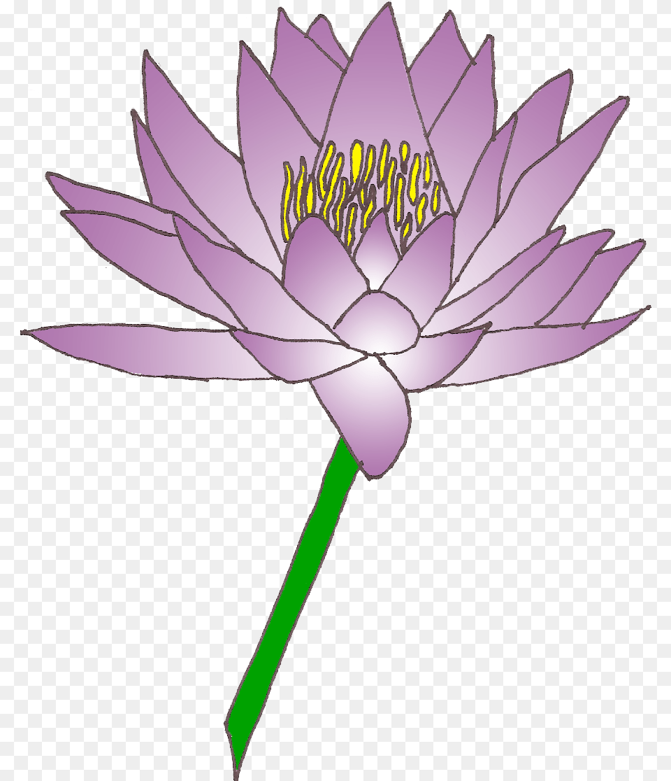 Atypiques Mag Clipart Water Lily In Pack 4539 Lily Pad Flower Clip Art, Plant, Pond Lily Png Image