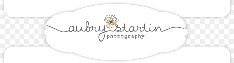 Aubry Startin Photography, Text, Animal, Invertebrate, Spider Png Image