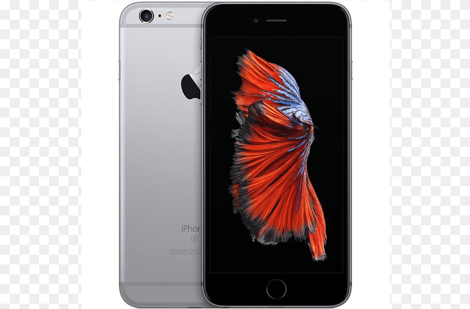 Auction Apple Iphone 6s Plus 128 Gb Space Grey Unlocked, Electronics, Mobile Phone, Phone, Animal Free Png Download