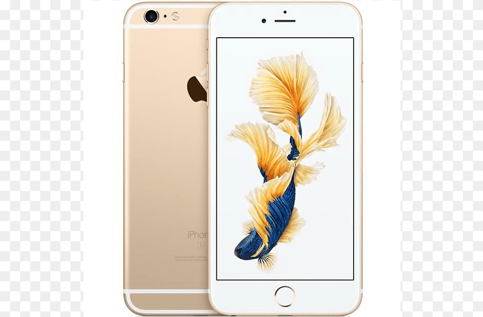 Auction Apple Iphone 6s Plus 64 Gb Gold Unlocked, Electronics, Mobile Phone, Phone Free Transparent Png