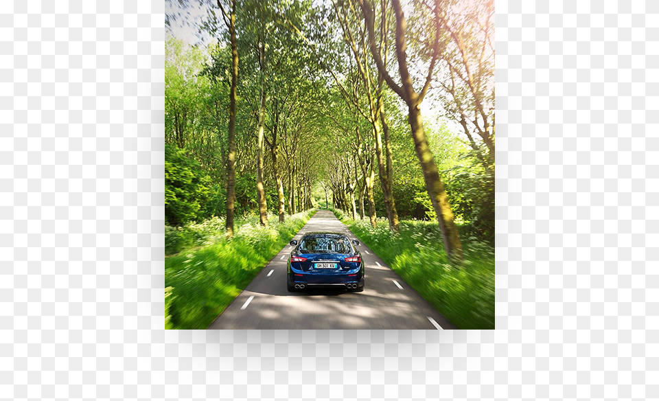 Audi Rs 2 Avant, Vegetation, Road, Plant, Vehicle Png Image