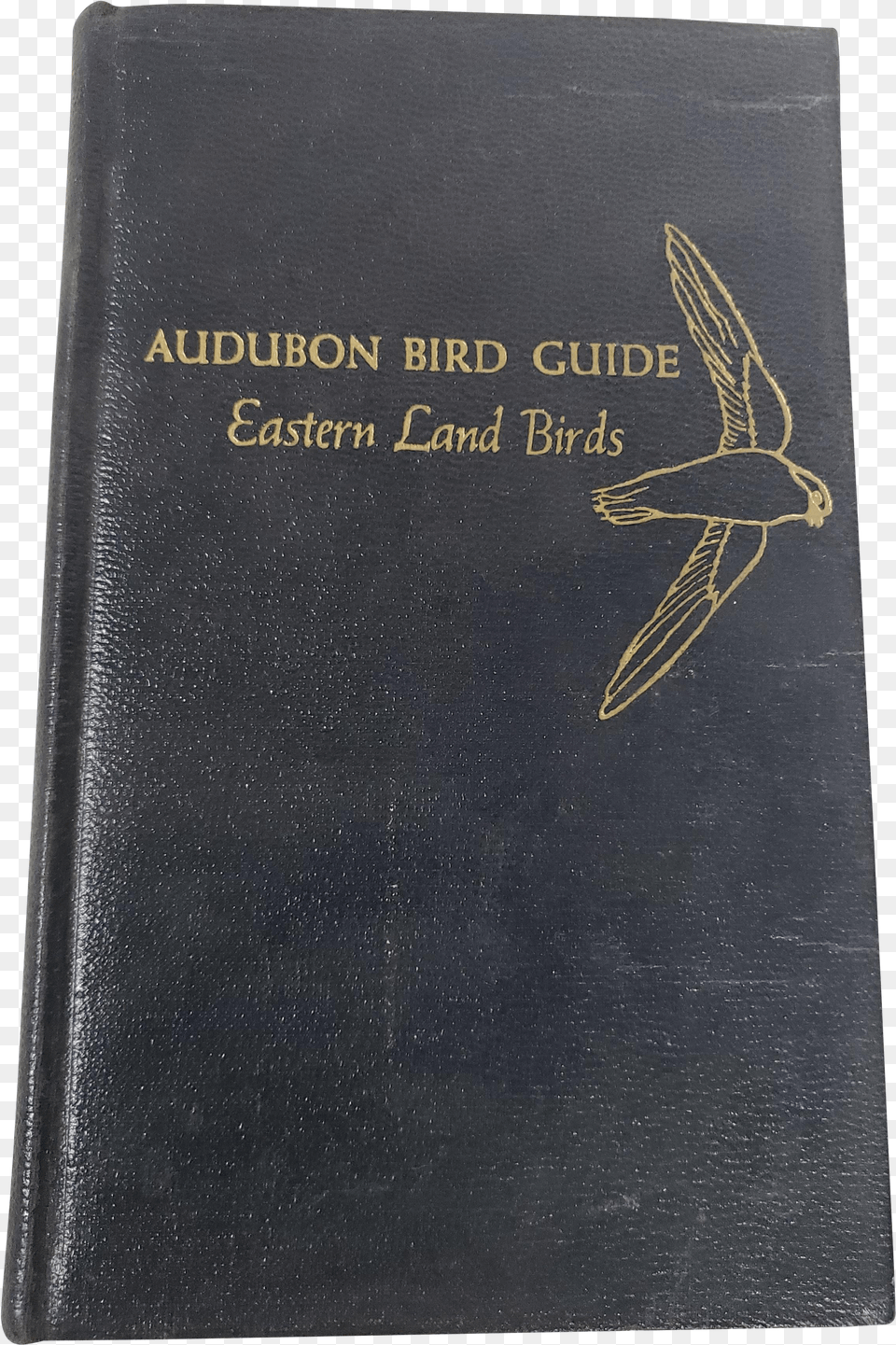 Audubon Bird Guide Eastern Land Birds 1946 Fashion Brand Free Png