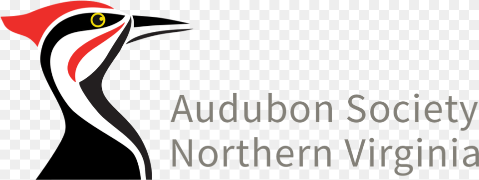 Audubon Society Of Northern Virginia, Animal, Beak, Bird Free Transparent Png