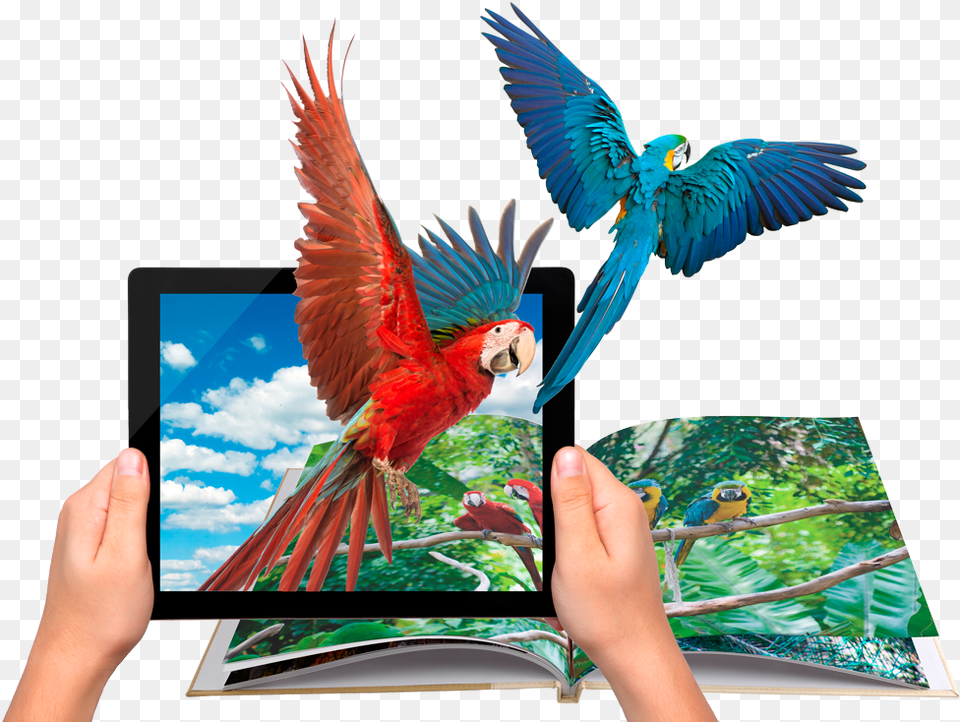Augmented Reality Augmented Reality Transparent Background, Animal, Bird, Computer, Electronics Free Png Download