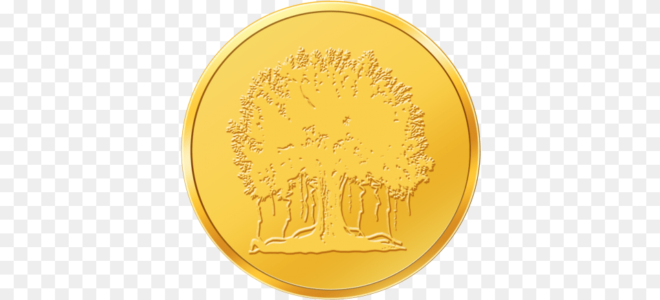 Augmont 2gm Gold Coin 999 Purity Coin, Plate, Money Free Png