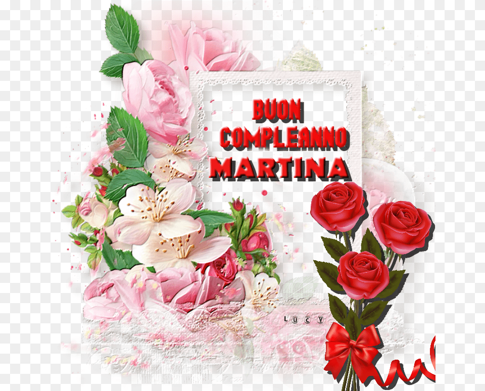 Auguri Martina Rose Day 2012, Plant, Mail, Greeting Card, Envelope Png Image