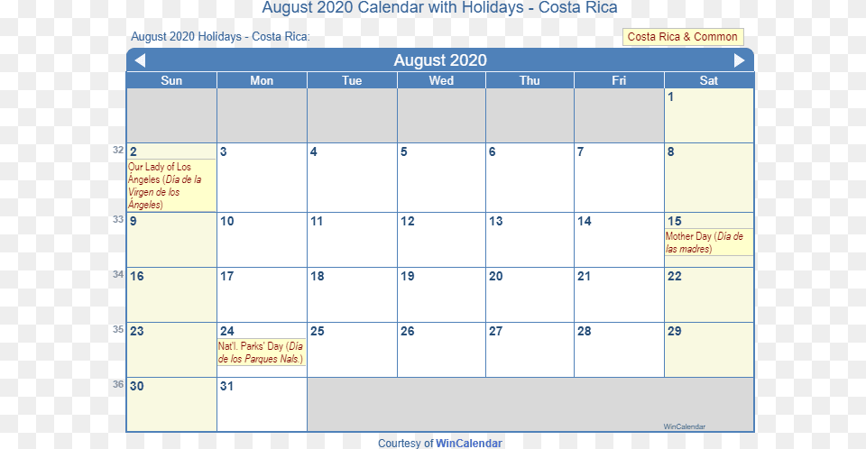 August 2020 Calendar With Nld Holidays, Text Png Image