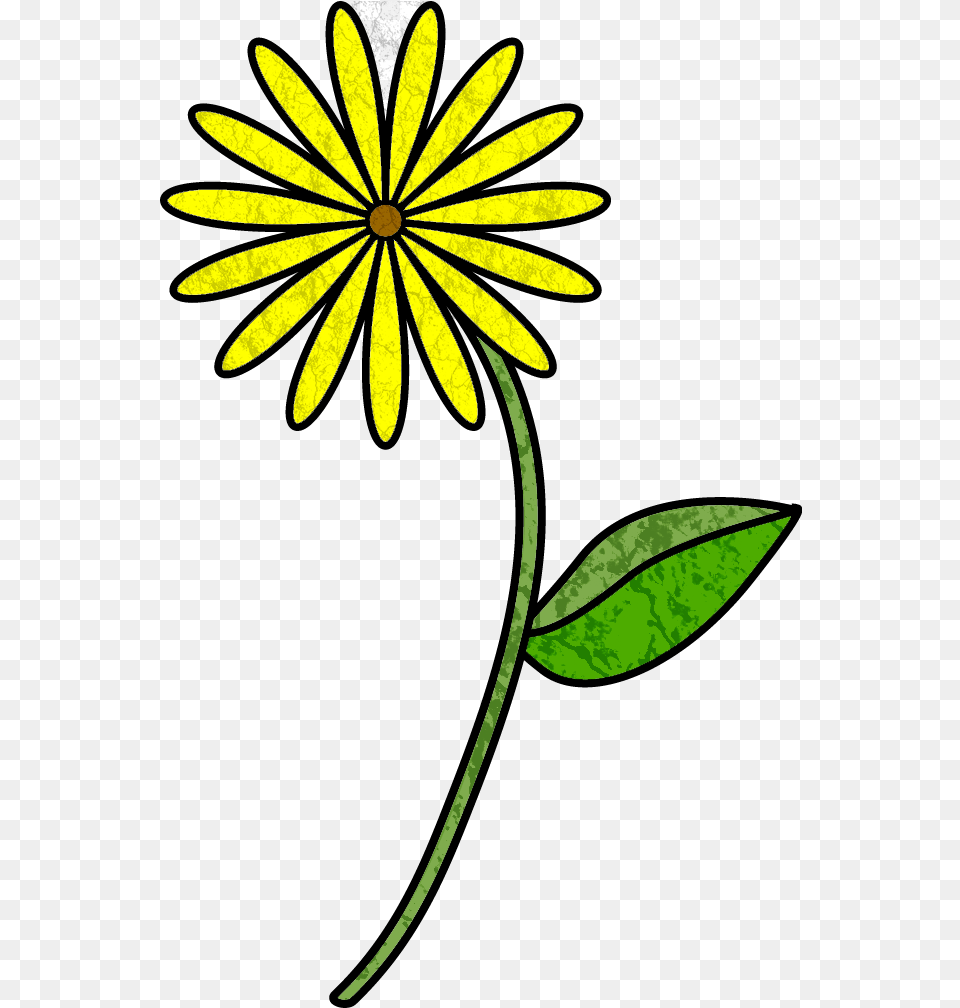 August Cartoon Flower With Stem Clipart Full Size Simple Flower Drawing Designs, Daisy, Plant, Petal, Leaf Free Transparent Png
