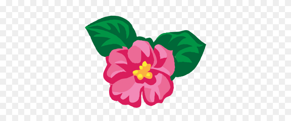 August Clipart, Flower, Plant, Hibiscus, Rose Png