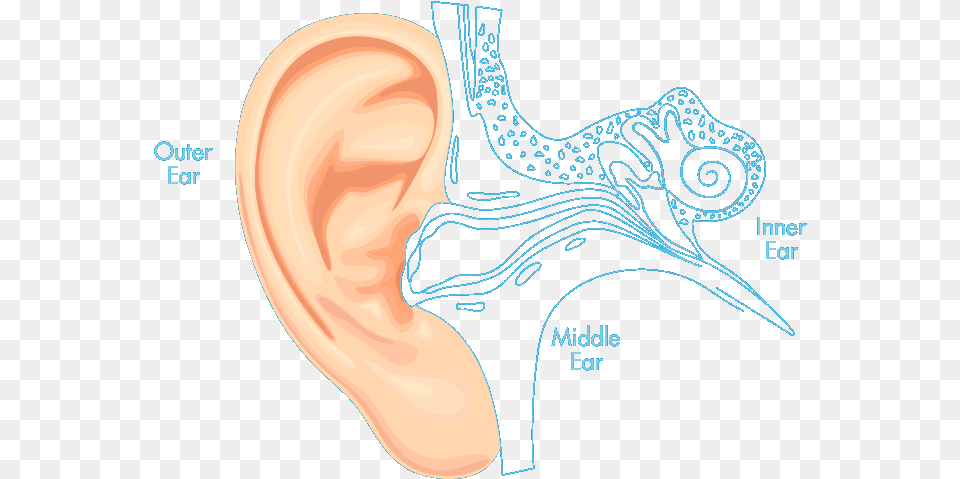 Auro Ear Drops Disease, Body Part, Adult, Female, Person Free Transparent Png