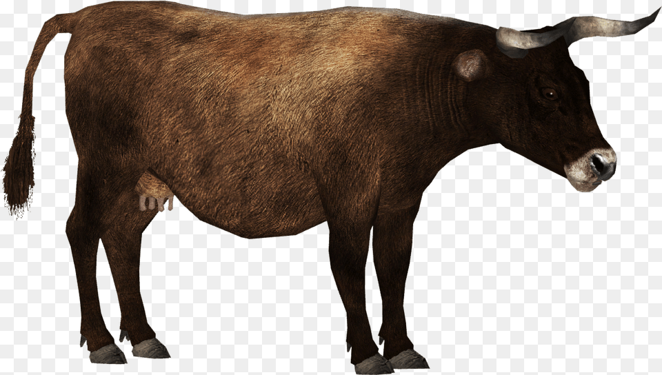 Aurochs F Pregnant Zoo Tycoon 2 Aurochs, Animal, Bull, Mammal, Cattle Free Png