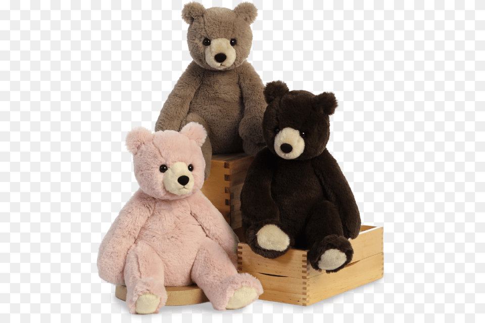 Aurora Bear, Teddy Bear, Toy Free Png