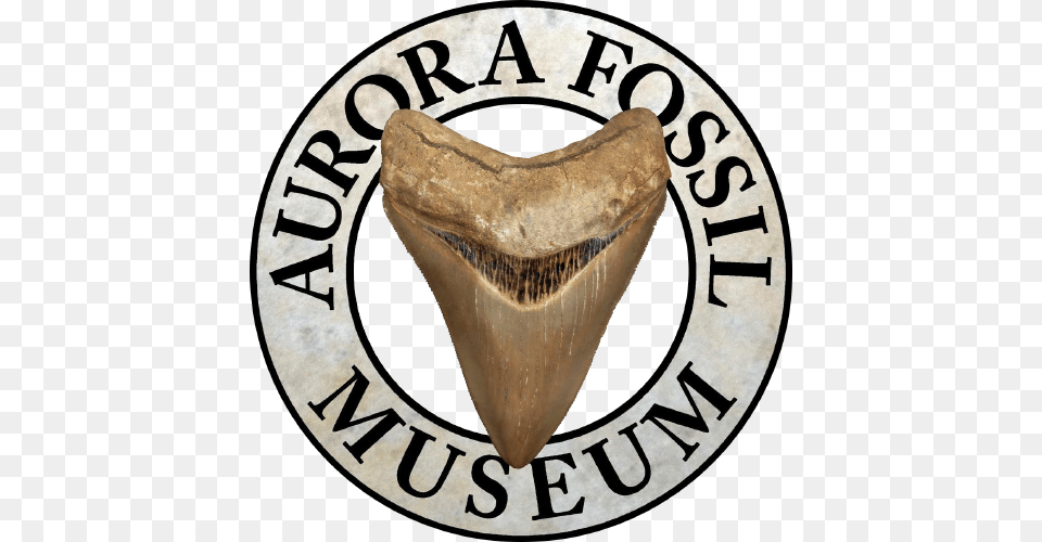 Aurora Fossil Museum Free Transparent Png