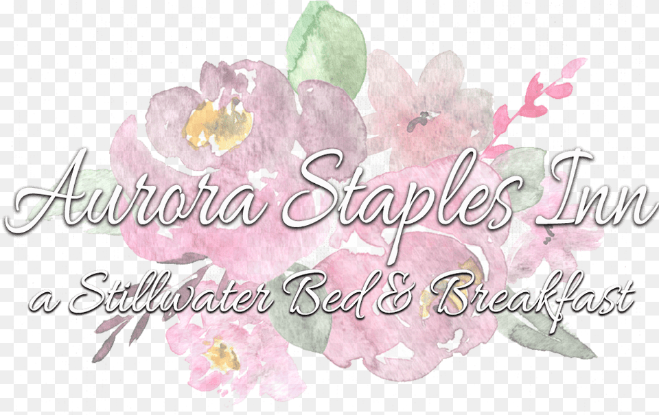 Aurora Staples Inn Calligraphy, Envelope, Greeting Card, Mail, Flower Png Image