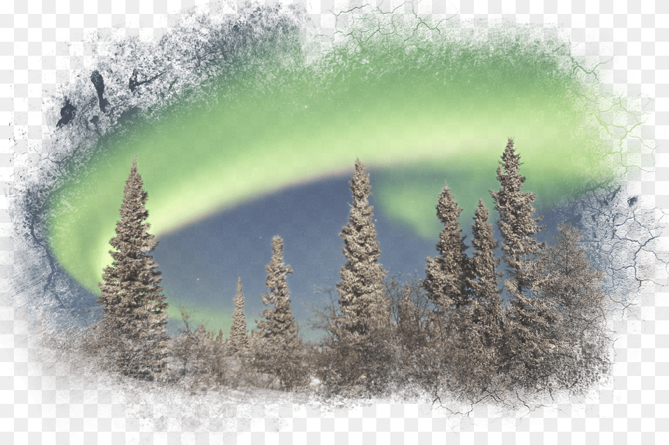Auroraborealis Forest Auroraboreal Landscape Sky Paisajes Nevados Con Auroras Boreales, Fir, Nature, Night, Outdoors Free Png Download