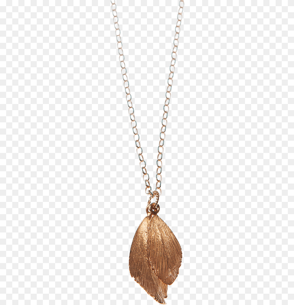 Aurum Raven Feather Pendant Rose Locket, Accessories, Jewelry, Necklace Png
