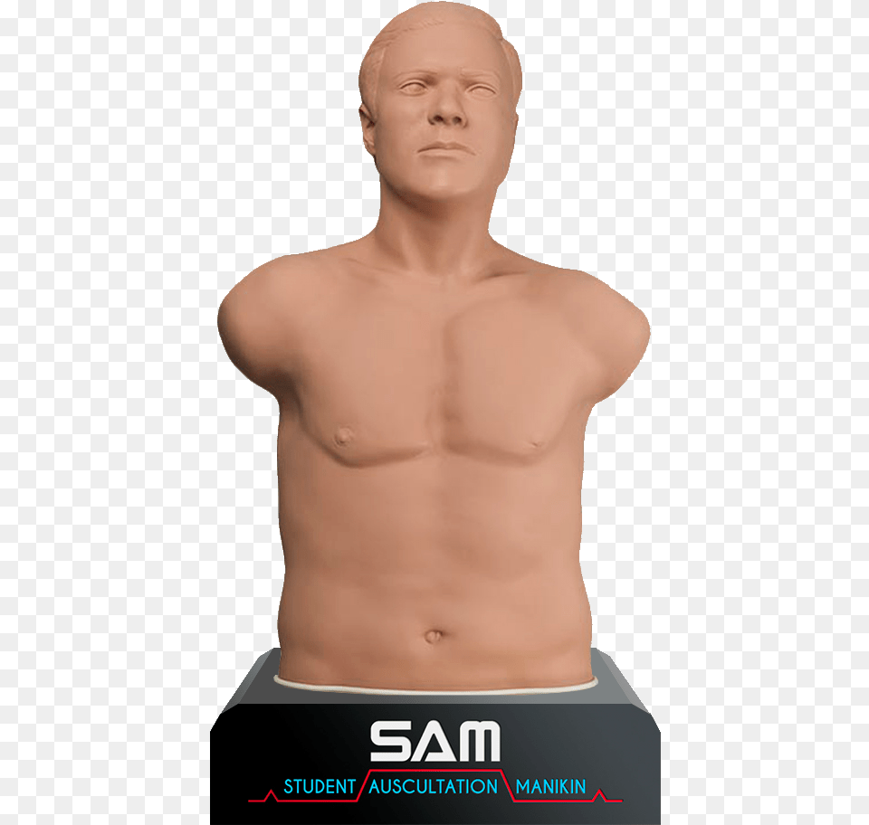 Auscultation Sam Auscultation Manikin, Body Part, Person, Torso, Adult Png