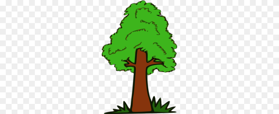 Ausmalbild Clipart, Green, Tree Trunk, Tree, Plant Free Transparent Png