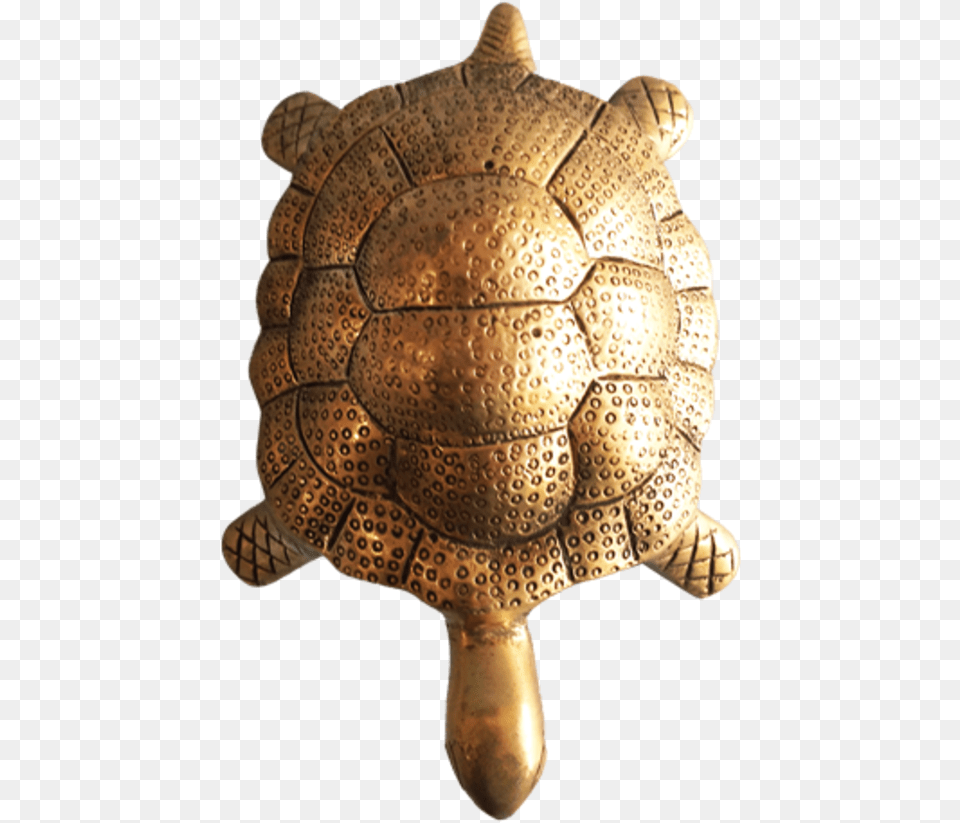 Auspiciousturtle Brass Statue 5 X 7 Inch Vgo Tortoise, Animal, Reptile, Sea Life, Turtle Free Png