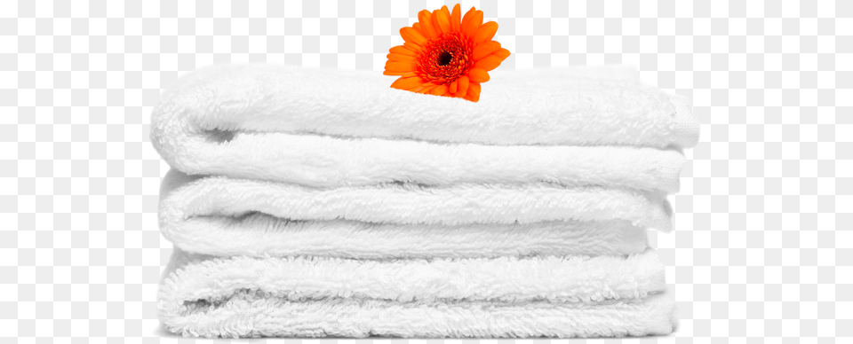 Austin Linen Service Barberton Daisy, Towel, Bath Towel, Clothing, Knitwear Free Png