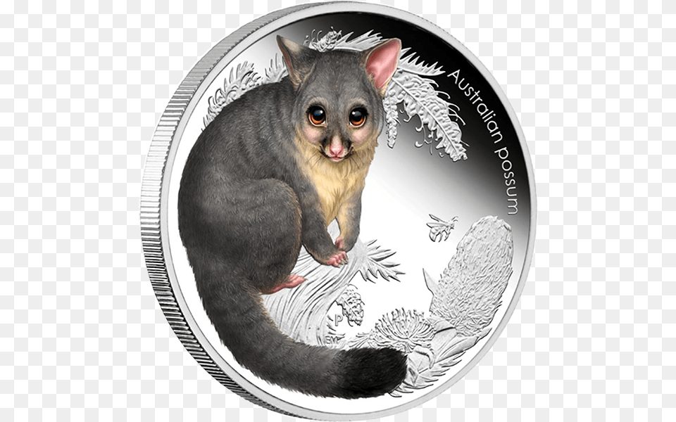Australia 2013 50 Cents Possum Australian Bush Babies Australian Animal Bush Baby, Cat, Mammal, Pet, Silver Free Png