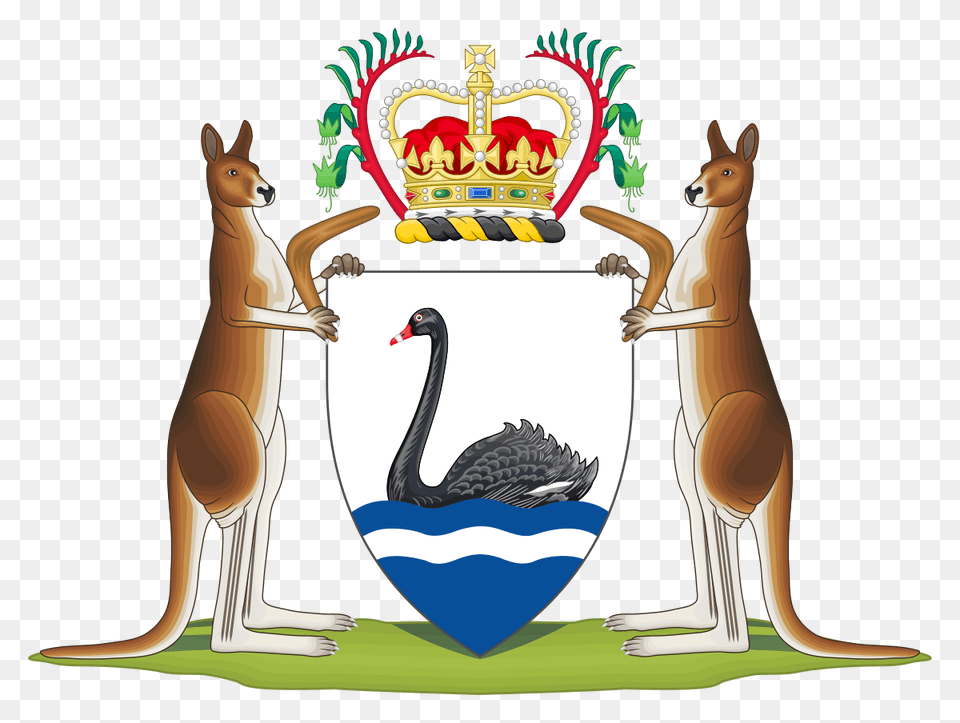 Australia Clip Art, Animal, Kangaroo, Mammal, Bird Png Image