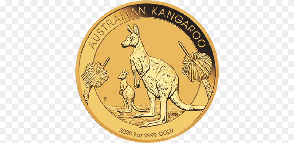 Australia Kangaroo 9999 Gold Coin Bu Dragon City Cafe, Animal, Mammal, Money Free Png Download