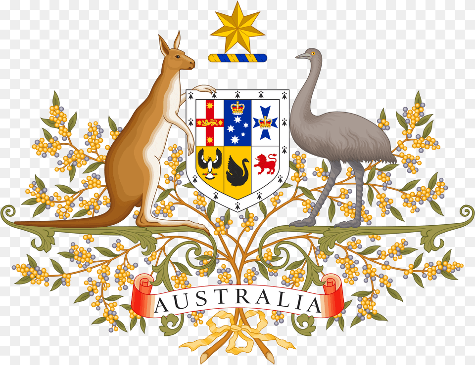 Australia Kangaroo And Emu, Animal, Bird, Deer, Mammal Free Png Download
