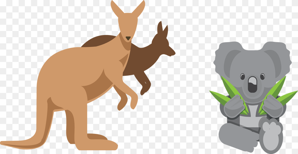 Australia Kangaroo Euclidean Vector Design Australian Kangaroo Clipart Koala Australia, Animal, Mammal, Bear, Wildlife Free Png Download
