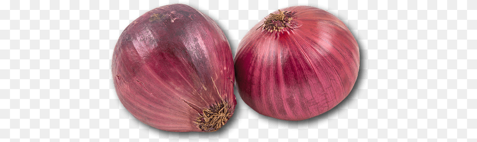 Australia Red Onion Red Onion, Food, Produce, Vegetable, Plant Free Png Download