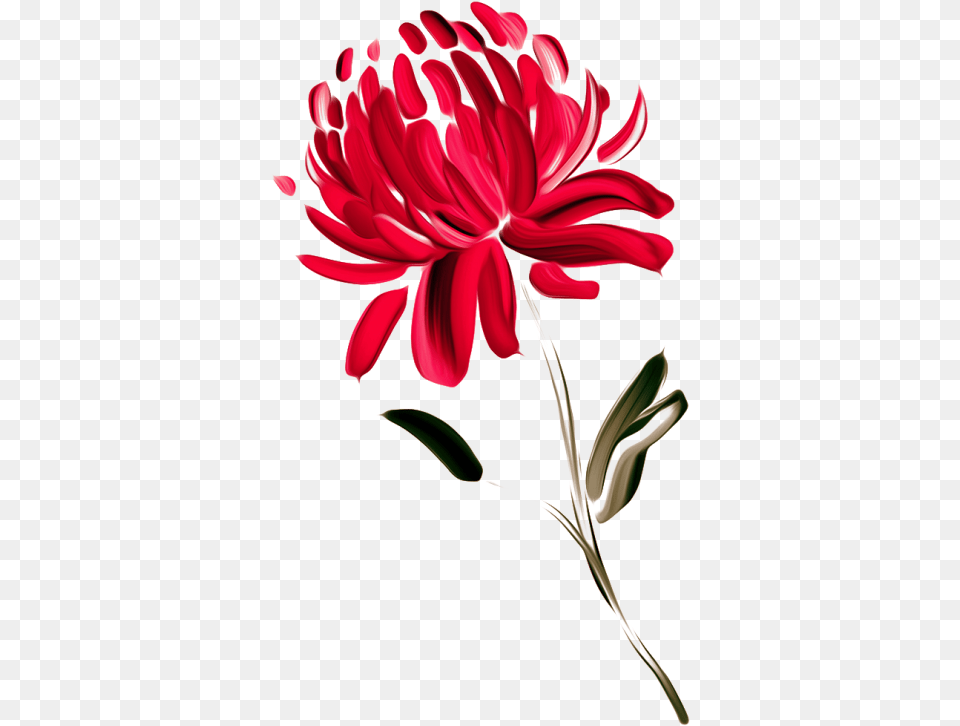 Australia Waratah Painted Waratah Flower Painting, Dahlia, Daisy, Petal, Plant Png