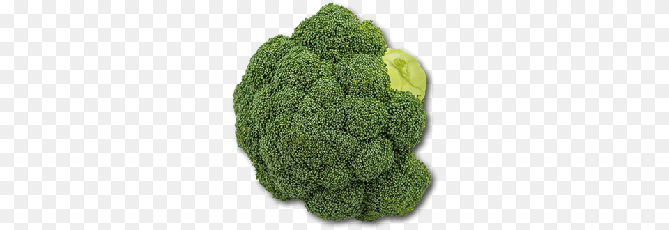 Australian Broccoli Broccoli, Food, Plant, Produce, Vegetable Free Png Download