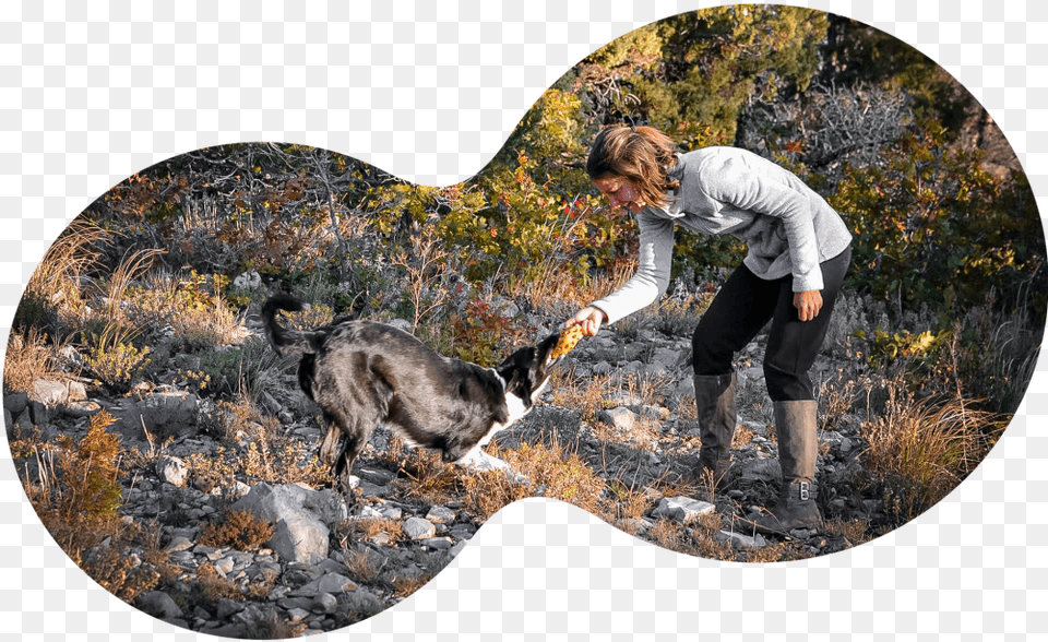 Australian Cattle Dog, Photography, Person, Man, Male Png Image