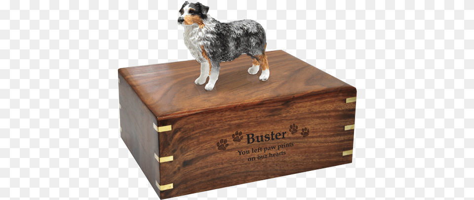 Australian Cattle Dog Clipart Australian Shepherd Dog, Box, Crate, Animal, Canine Free Transparent Png
