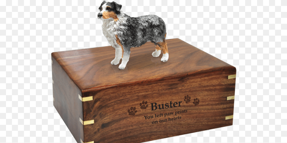 Australian Cattle Dog Clipart Australian Shepherd Urns For Boston Terriers, Box, Crate, Animal, Canine Free Transparent Png