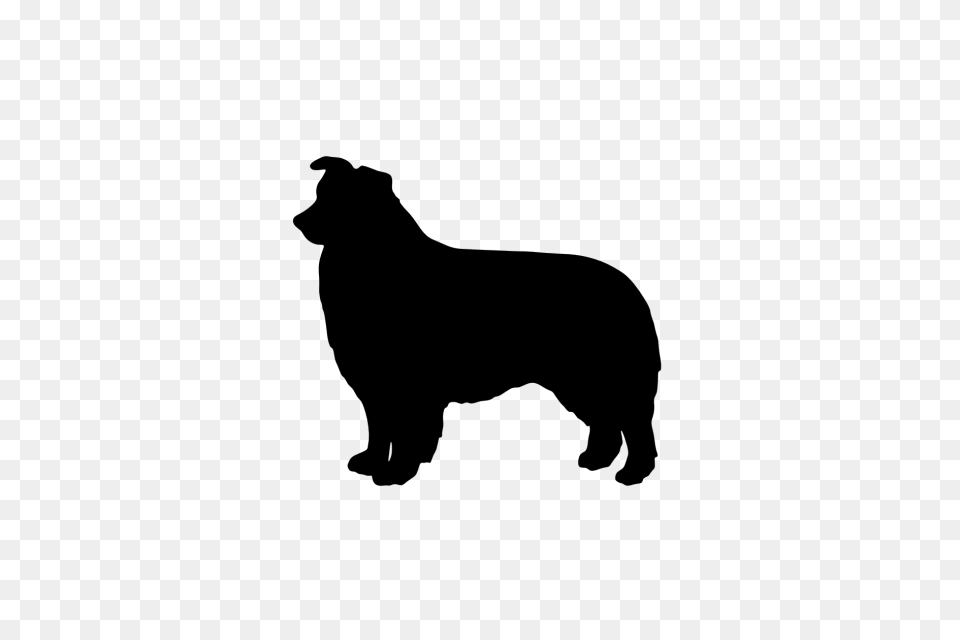 Australian Cattle Dog Clipart Silhouette, Gray Png Image