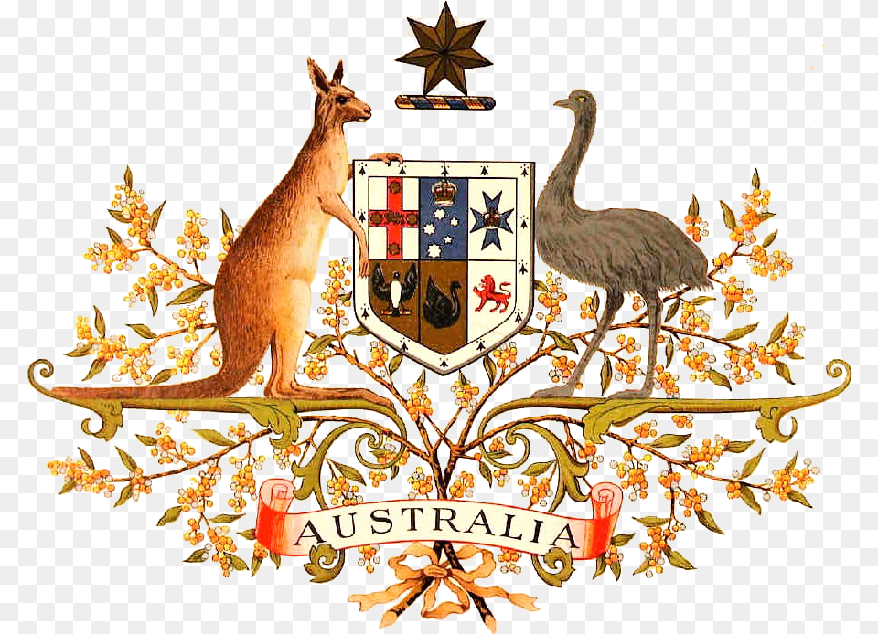 Australian Coat Of Arms 1912 Edit Australian Coat Of Arms, Animal, Bird, Kangaroo, Mammal Free Png Download