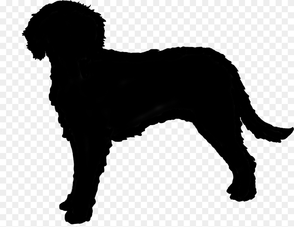 Australian Cobberdog Silhouette Silhouette Of A Labradoodle, Gray Png Image